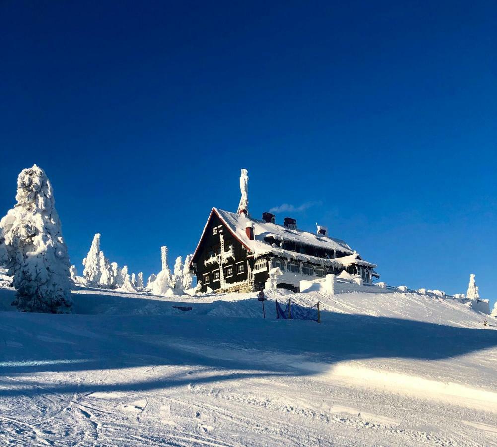 Ski Sun Sea - Rodzinny Apartament Pod Gondola Świeradów-Zdrój 외부 사진